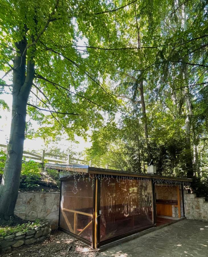 Villa Alexa Borovets Luaran gambar